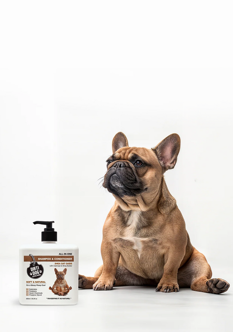 FIND YOUR ZEN
… FUR REAL.