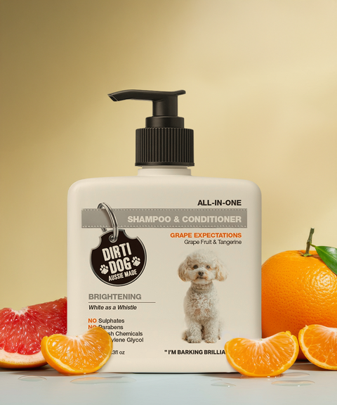 BRIGHTENING ALL IN ONE Dog Shampoo & Conditioner 600ml