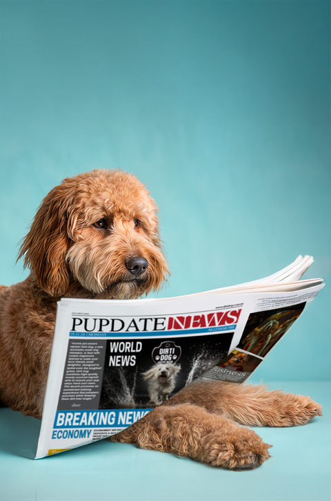 JOIN FOR
PUPDATES