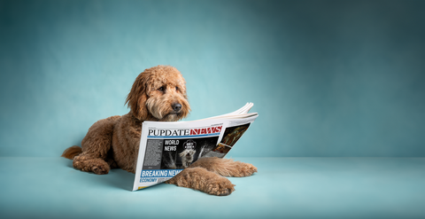 JOIN FOR
PUPDATES