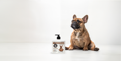 FIND YOUR ZEN
… FUR REAL.