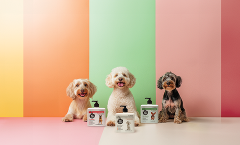 FRESHNESS TAILORED 
FOR  EVERY PUP!