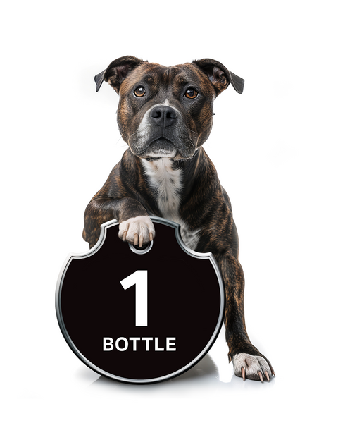JUST ONE & DONE - All in One Dog Shampoo & Conditioner Bundles