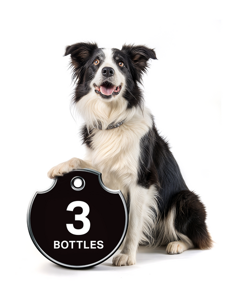 THRICE AS NICE - All in One Dog Shampoo & Conditioner Bundles