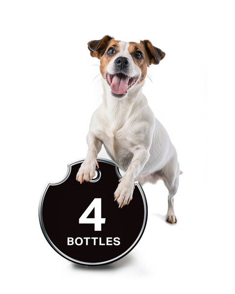 FOUR FOR THE FLOOR - All in One Dog Shampoo & Conditioner Bundles